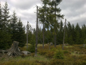 06.jpg