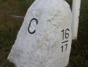 271.jpg