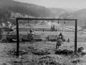 050.jpg