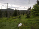 193.jpg