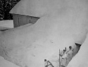033.jpg
