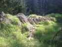 255.jpg