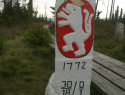 77.jpg