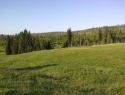193.jpg