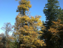 183.jpg