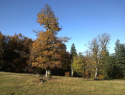 178.jpg