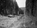 05.jpg