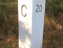 244.jpg
