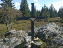 65.jpg