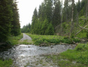 174.jpg