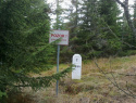 107.jpg