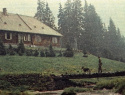 155.jpg