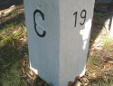 246.jpg