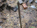 117.jpg