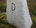 277.jpg