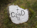 258.jpg
