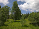 07.jpg