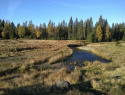 166.jpg