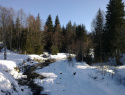 137.jpg