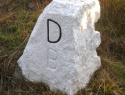 264.jpg