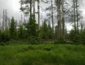 05.jpg