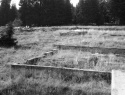 046.jpg