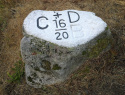 274.jpg
