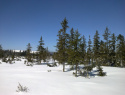 166.jpg