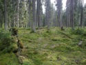 06.jpg