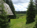 105.jpg