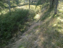 94.jpg