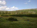 05.jpg