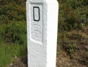 106.jpg
