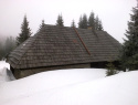 189.jpg
