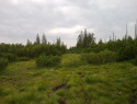 05.jpg