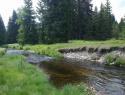 154.jpg