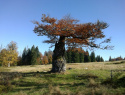 112.jpg