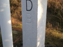 251.jpg