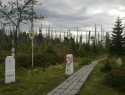 77.jpg