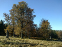 107.jpg