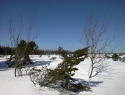 164.jpg