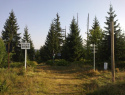 09.jpg