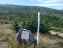 125.jpg