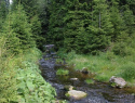 178.jpg