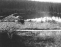 138.jpg