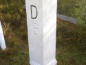 243.jpg