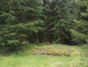 103.jpg