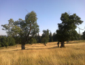 160.jpg