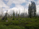 06.jpg