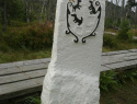 79.jpg
